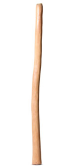 Medium Size Natural Finish Didgeridoo (TW1033)